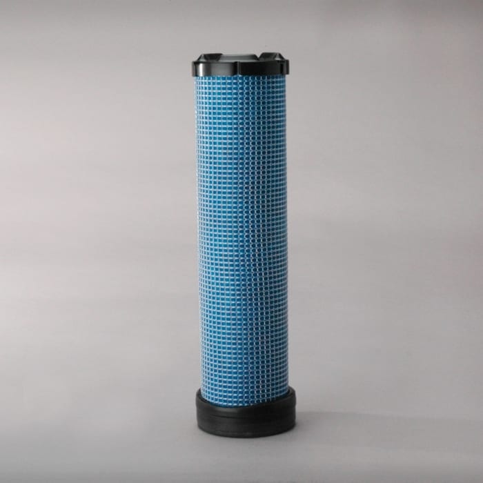 Filter Vazduha - P829333