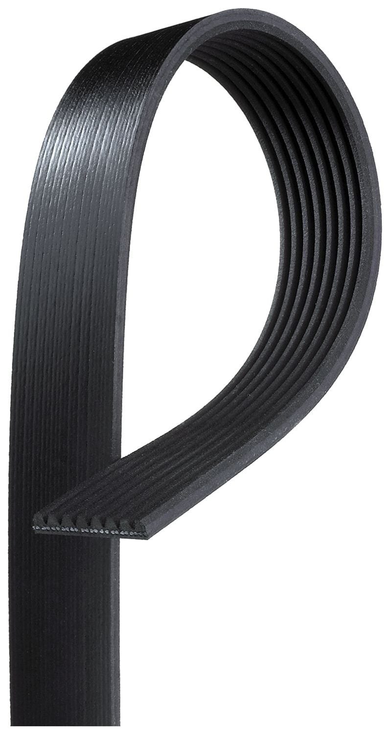 PK Kaiš - 8pk 2513mm
